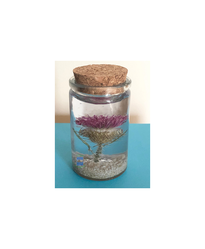 Resin flask containing a real dried thistle