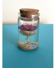 Resin flask containing a real dried thistle