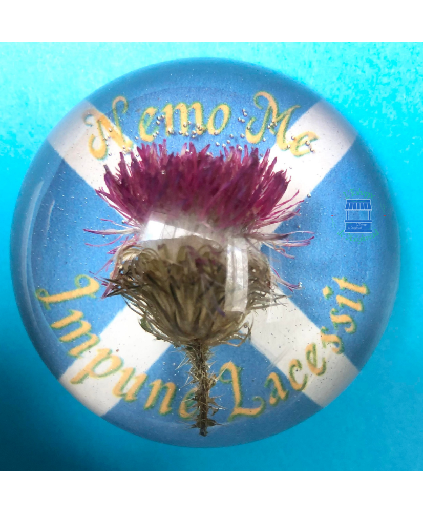 Thistle magnet "Nemo Me Impune Lacessit"